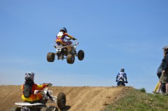 Thumbs/tn_342.jpg