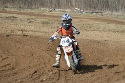 Thumbs/tn_094.jpg