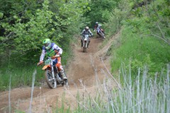 Thumbs/tn_1609.jpg