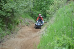 Thumbs/tn_1706.jpg